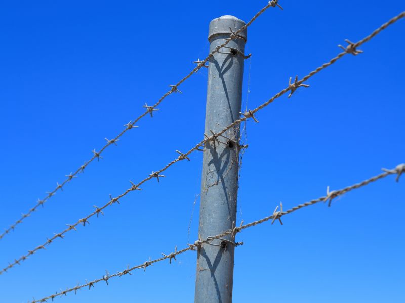 Barbed Wire Fence Installation