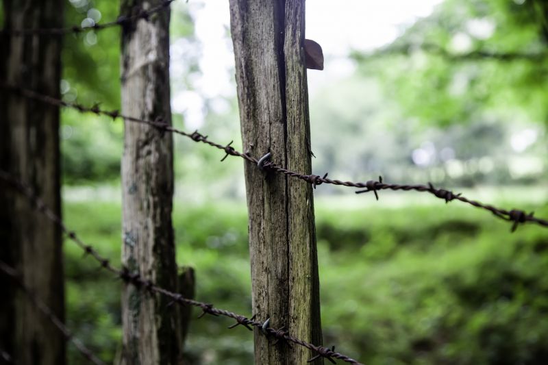 Barbed Wire Fence Replacement detail